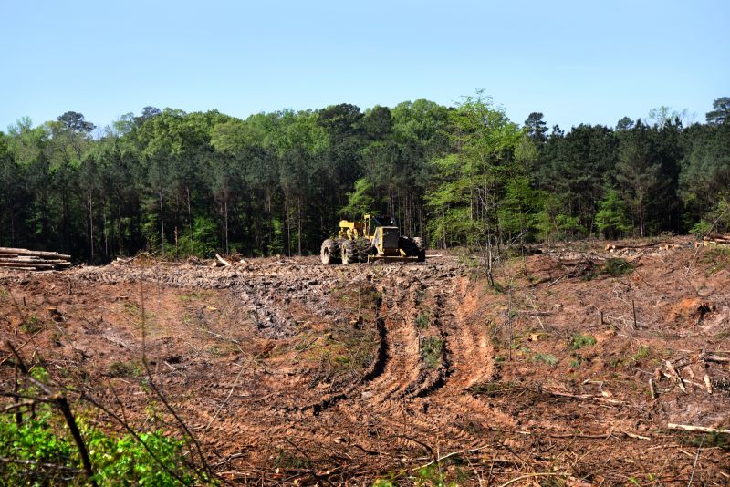 Clearing site with machinery