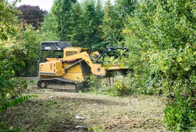 Vegetation removal process