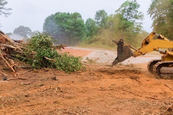 Forestry Mulching Service in Boulder