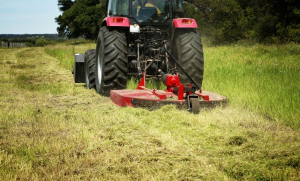 Brush Clearing Service in Boulder