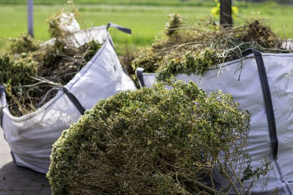 Bushes Clearing in Boulder